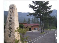 주변관광지-순천민박 은행나무달빛아래펜션