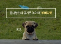 INTRO-비비디펫