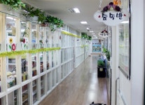 아이사랑 교육철학-화정유치원