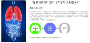 더봄탈모치료원리-목동탈모 더봄한의원
