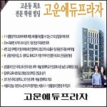 고운동-세종시 상가