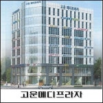 고운동-세종시 상가