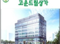 고운동-세종시 상가