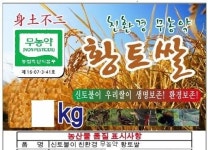 소개-영천창상리친환경영농조합법인