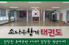 소나무향기태권도-소나무향기태권도