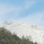 겔러리-단임계곡 유동열 다향산방