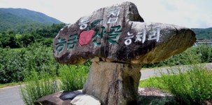 농장소개-애플팜 조인-自然을 담다