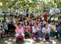 농원소개-포도체험농장 삼훈행복농원