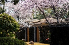 펜션.호텔.리조트2-카인이