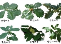장작이야기-(주)해오실업