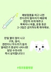 흐린 날-청조동물병원