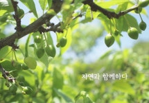 메인-자연과 함께하다