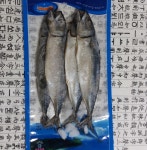 전체상품-자유유통