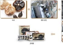 소개-단양흑마늘영농조합법인