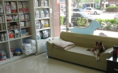 동물병원/보호센터/학교-Pet info