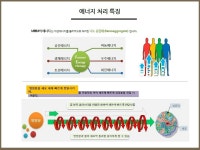 -볼륨O2테라피에센스