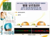 -볼륨O2테라피에센스