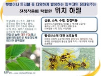 -볼륨O2테라피에센스