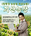 괴산농장-괴산절임배추