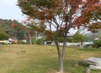 7-4. 안성 우래힐링원-디톡스캠프