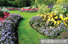 단지조경-금호지구 대광로제비앙