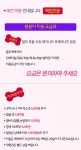 애견미용-남포동애견미용 몽몽이