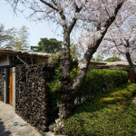 펜션.호텔.리조트-카인이