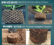 상품설명-옥림코리아