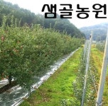 농원풍경-충주샘골농원