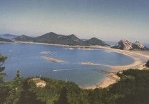 부동산개발 및 컨설팅-카보드개발(주)
