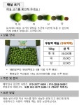 매실판매4-유기농 진주하씨농원