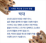박대이야기-군산성진수산