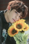 윈