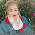 와이 Y