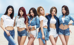 피피엘 PPL