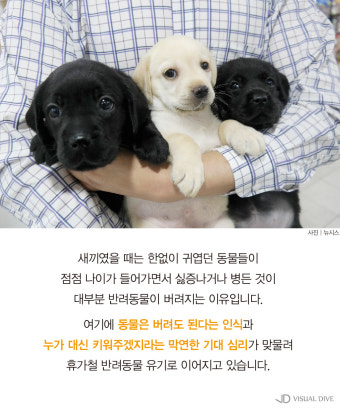 휴가철, 반려동물 유기 급증…그 이유는?