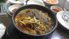 서울 외대앞 24시 해장국 감자탕 매우 만족한 맛집