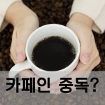 카페인 중독 증상 및 탈출법 [송강당]