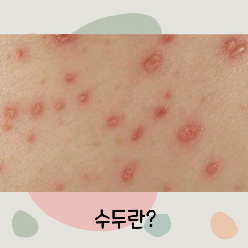 수두의 역사 이해 그리고 우리의 삶 2 수두