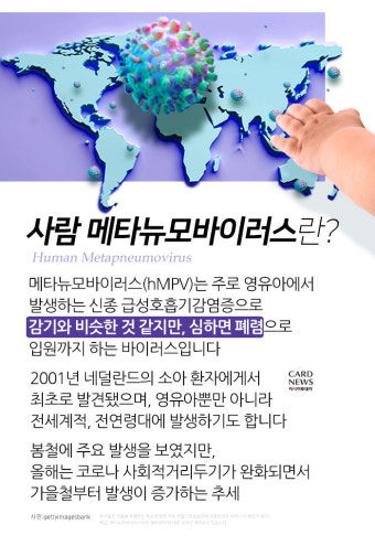 사람 메타뉴모바이러스(HMPV): 증상, 예방 및 관련주 정보 1 사람 메타뉴모바이러스