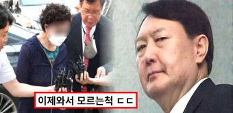 윤석열 대통령, '장모 징역·법정구속'...과거 발언 재조명 