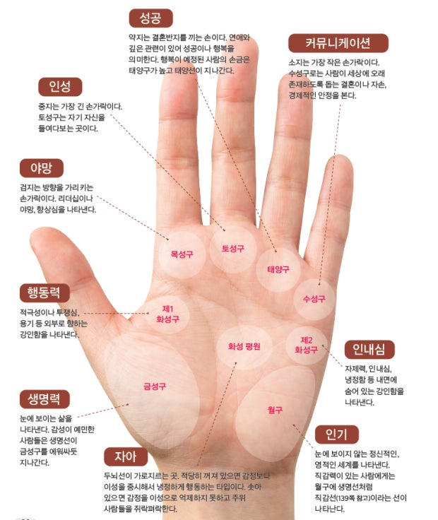 본문이미지