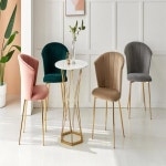 CZ4114 벨벳 조개 등받이 골드체어 4colors : 에버모스트