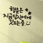 행운은당신에게 소형 캘리그라피 레터링스티커 레터링스티커 : 글로시몰