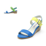 [apostrophe s] Sadal H1325 : 레이틀리 코리아