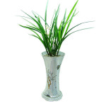 [동양란]채홍 3호 : 밀알플라워