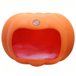 호박하우스 (대-오렌지) : 펫라인 시스템