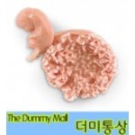 7-8주 태아모형 (LF00707) : 의료기상사