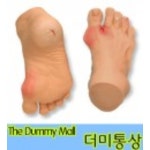 상처모형 (WA22223) : 의료기상사