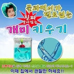 (살아있는 개미+개미집)-앤트빌 /곤충 /개미키우기 세트/사육장/관찰 : 관찰스쿨